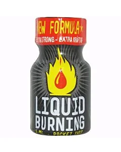 Ambientador Liquid Burning (9 ml)