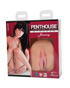 Masturbador Vagina Penthouse Calendário Janeiro Sadie West Caixa